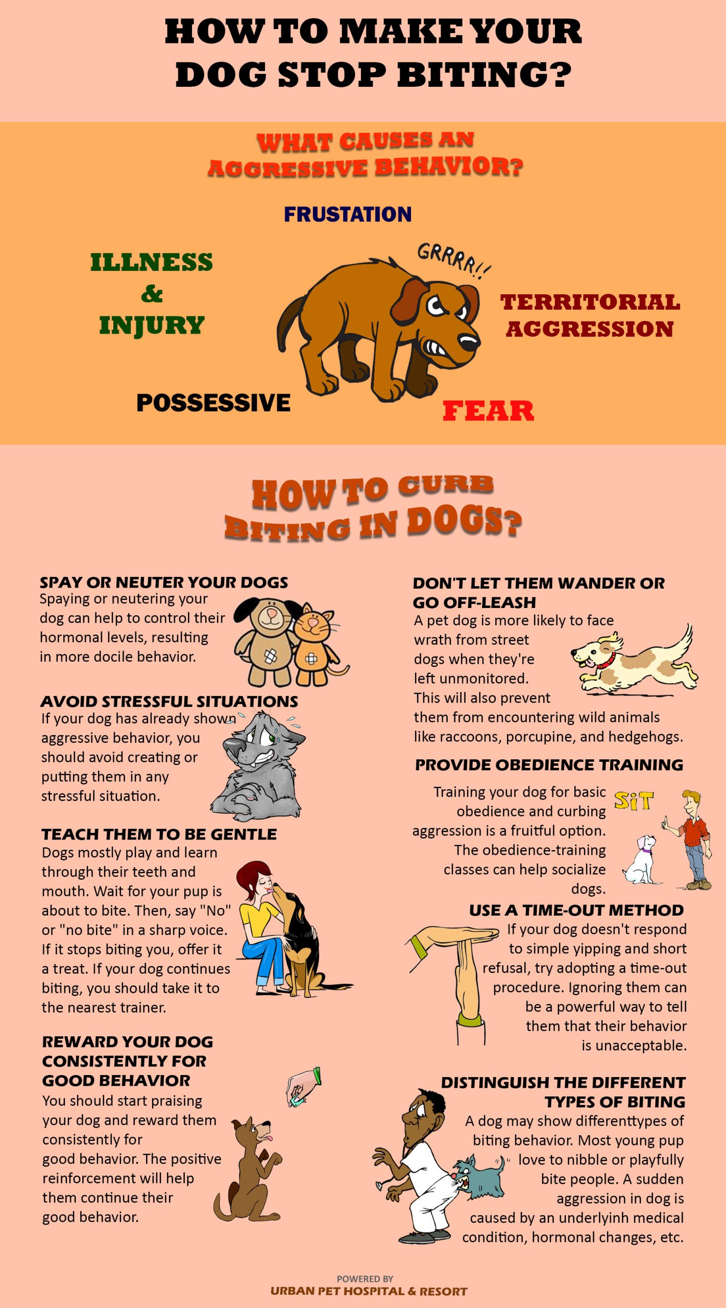 Expert Tricks for Curbing Aggressive Pet Behavior