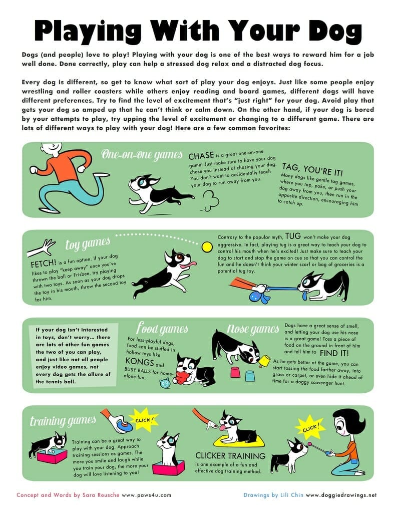 Fun and Effective Training Games for Dogs