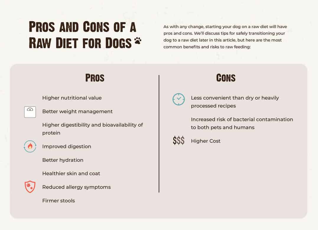 Raw Diet for Pets Pros and Cons