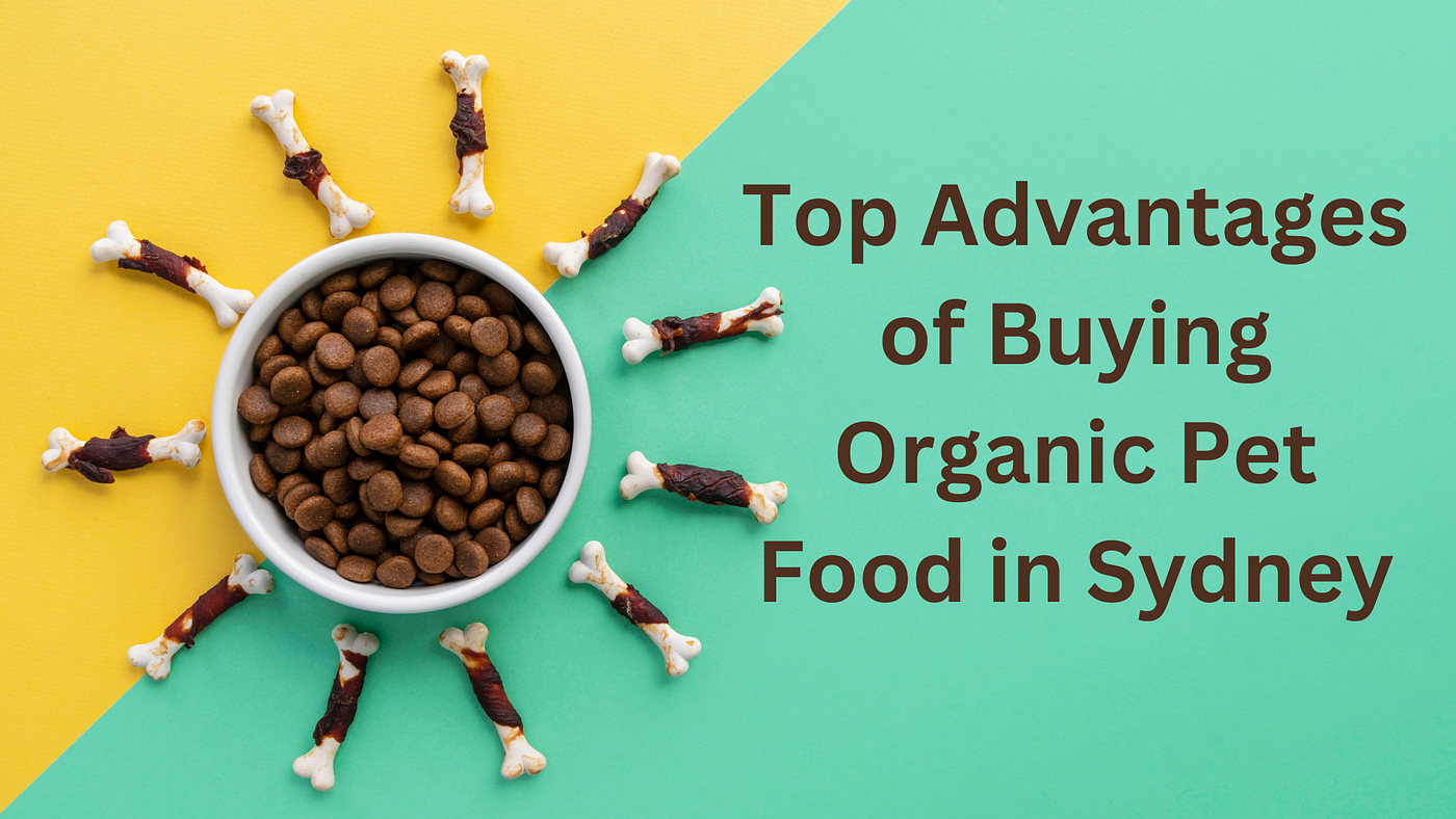 The Benefits of Organic Food for Your Pets