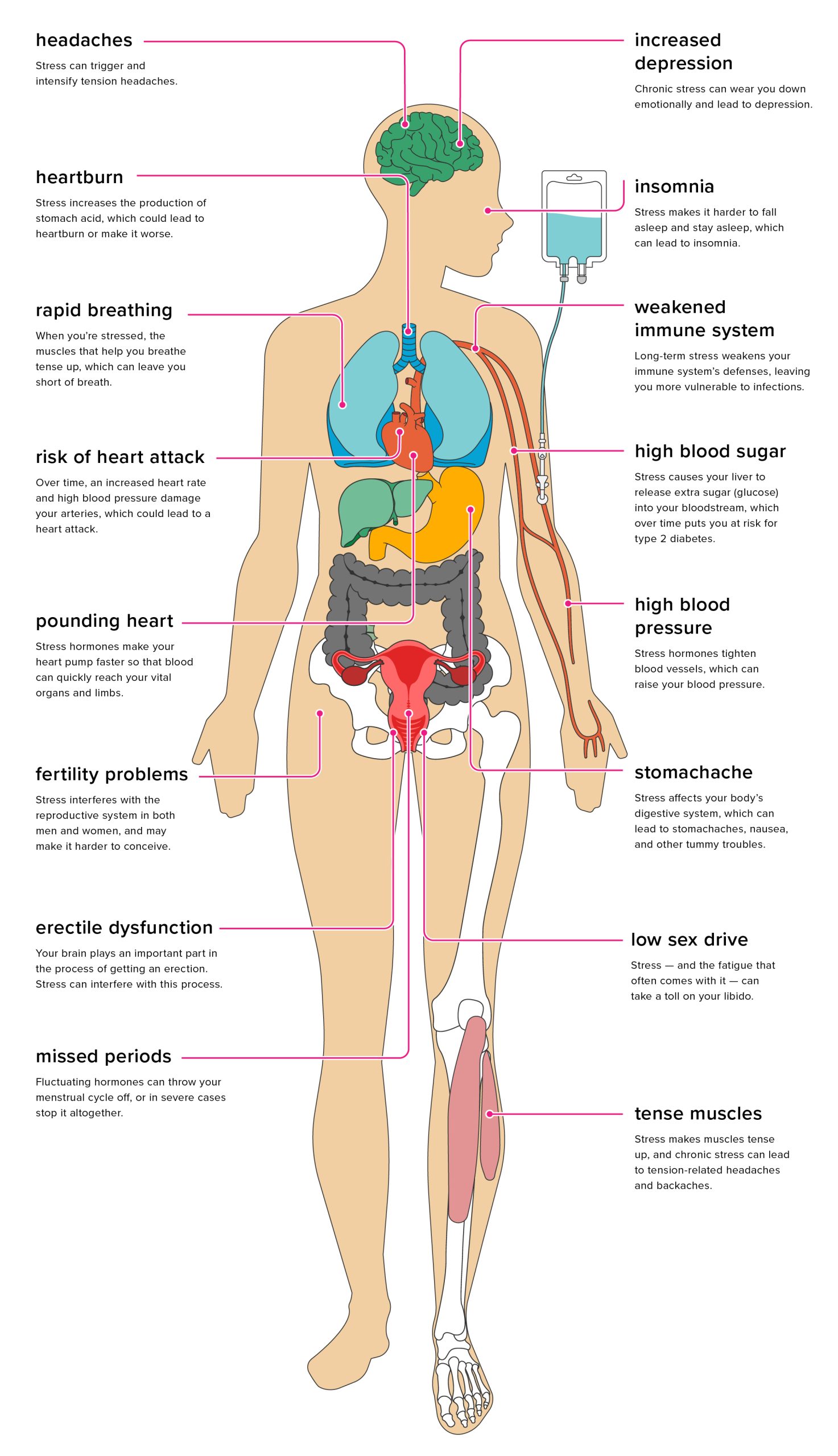 The Impact of Stress on Your Health and How to Manage It